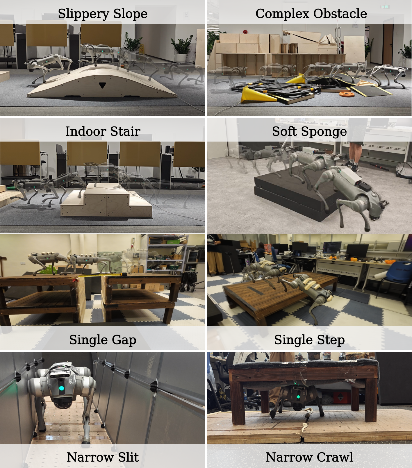 Real World Experiments Cover 1